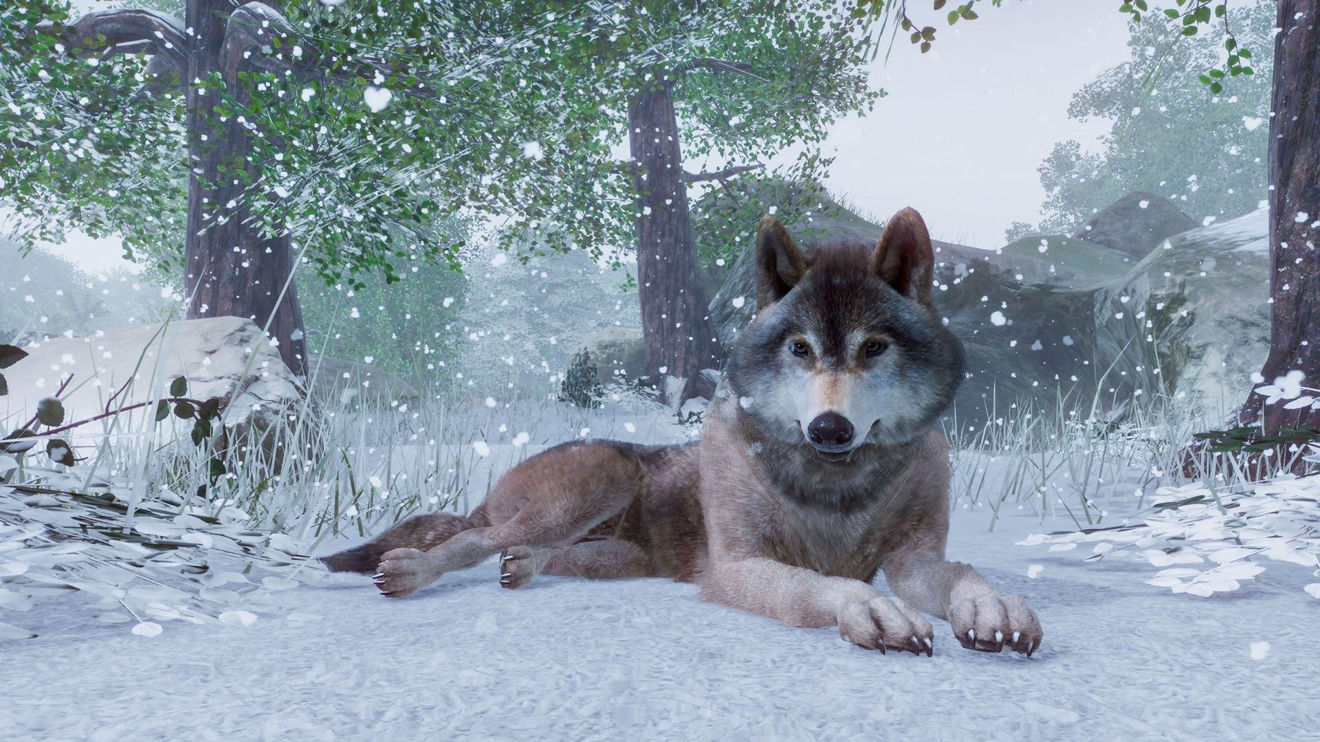 Screen Shot image 1 Planet Zoo: اولتمت اصدار 2021 ستيم كود رقمي