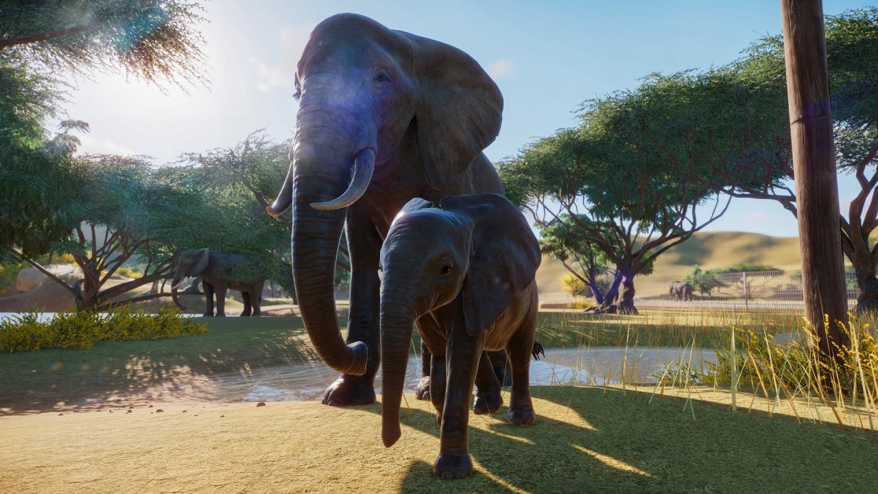 Screen Shot image 4 Planet Zoo اصدار الديلوكس بي سي رابط هديه ستيم