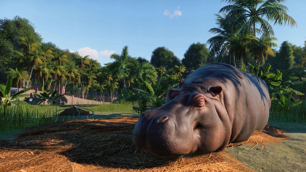 Screen Shot image 6 Planet Zoo: اولتمت اصدار 2021 ستيم كود رقمي
