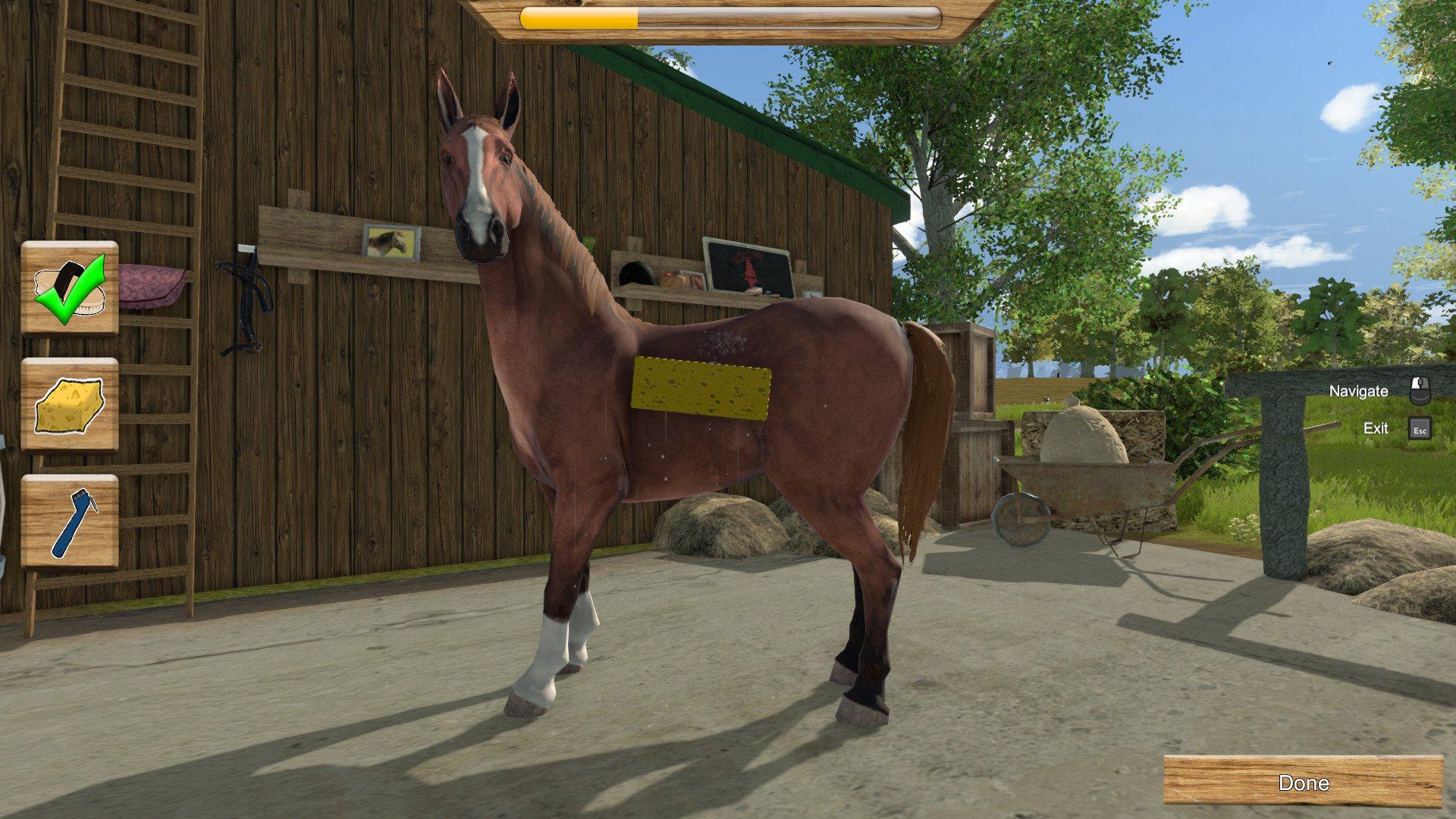 Screen Shot image 3 My Little Riding Champion اوروبي اكسبوكس 1 كود رقمي