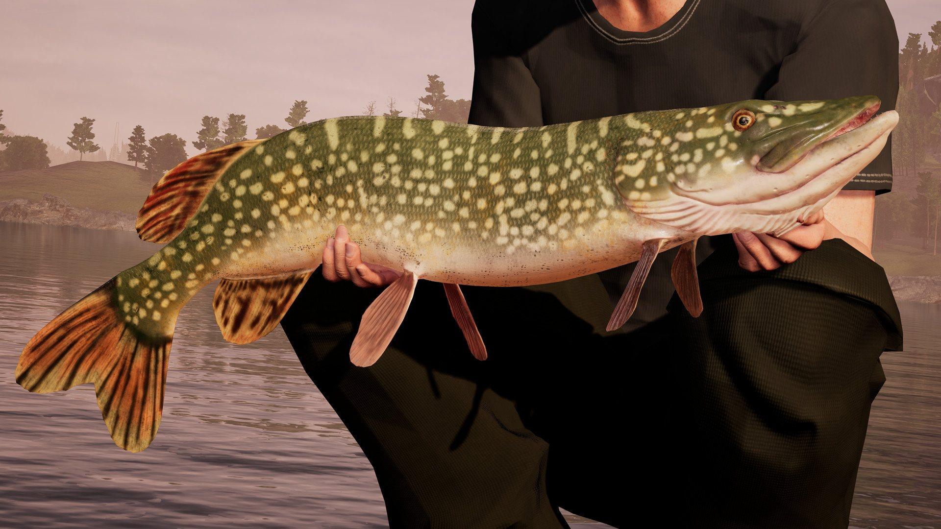 Screen Shot image 3 Fishing Sim World: Pro Tour اصدار الديلوكس ستيم كود رقمي