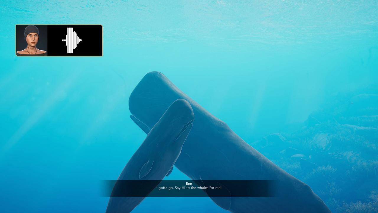Screen Shot image 6 Beyond Blue اوروبي رابط هديه ستيم