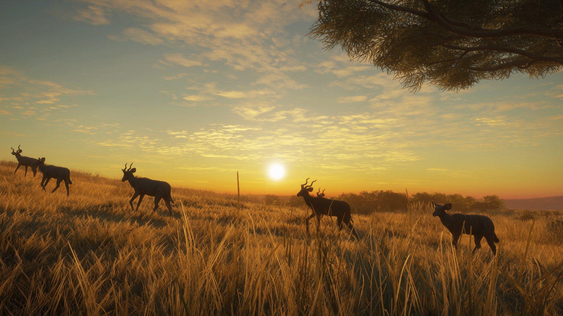 Screen Shot image 5 TheHunter: Call Of The Wild - Vurhonga Savanna DLC ستيم كود رقمي