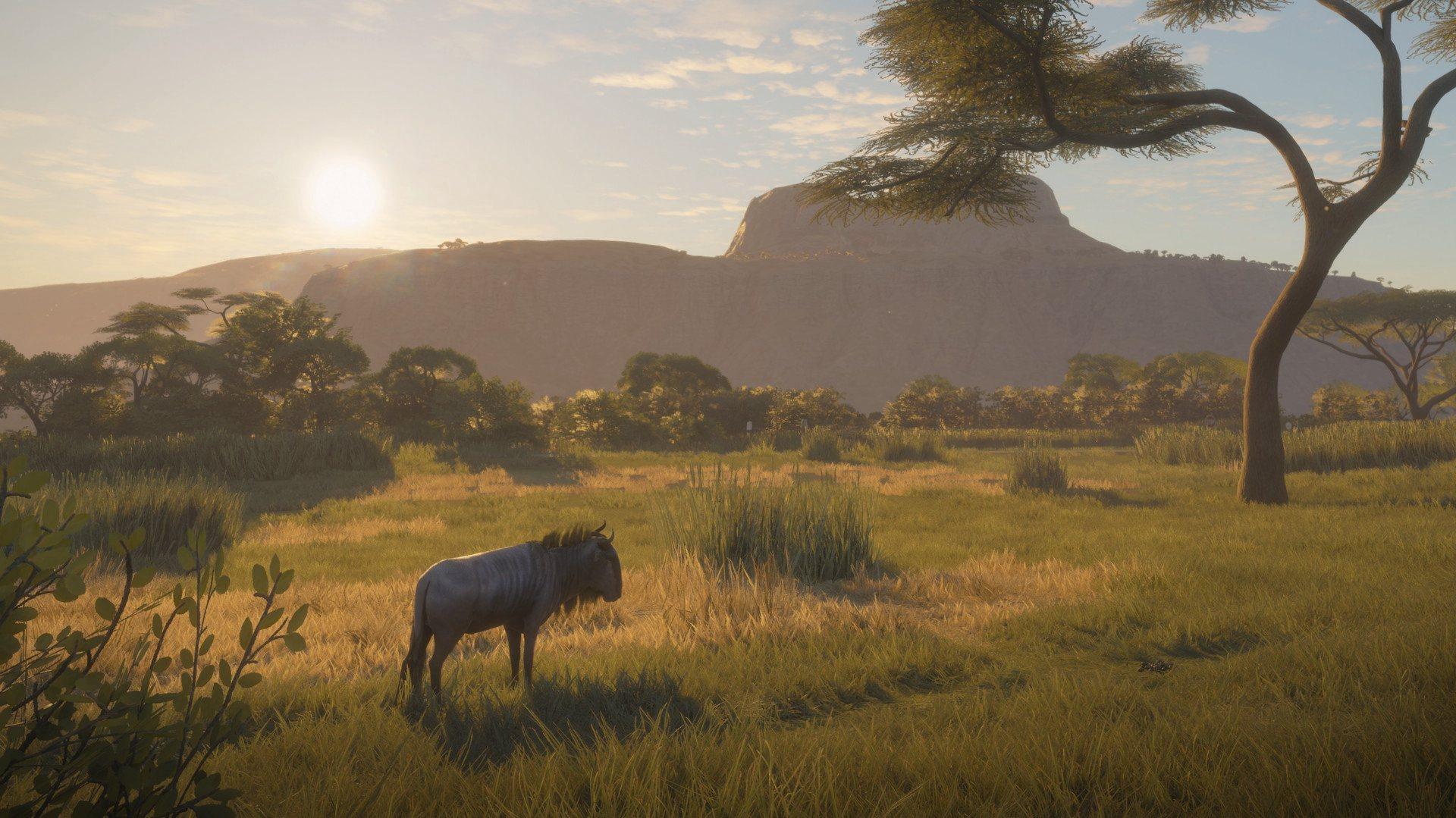 Screen Shot image 6 TheHunter: Call Of The Wild - Vurhonga Savanna DLC ستيم كود رقمي
