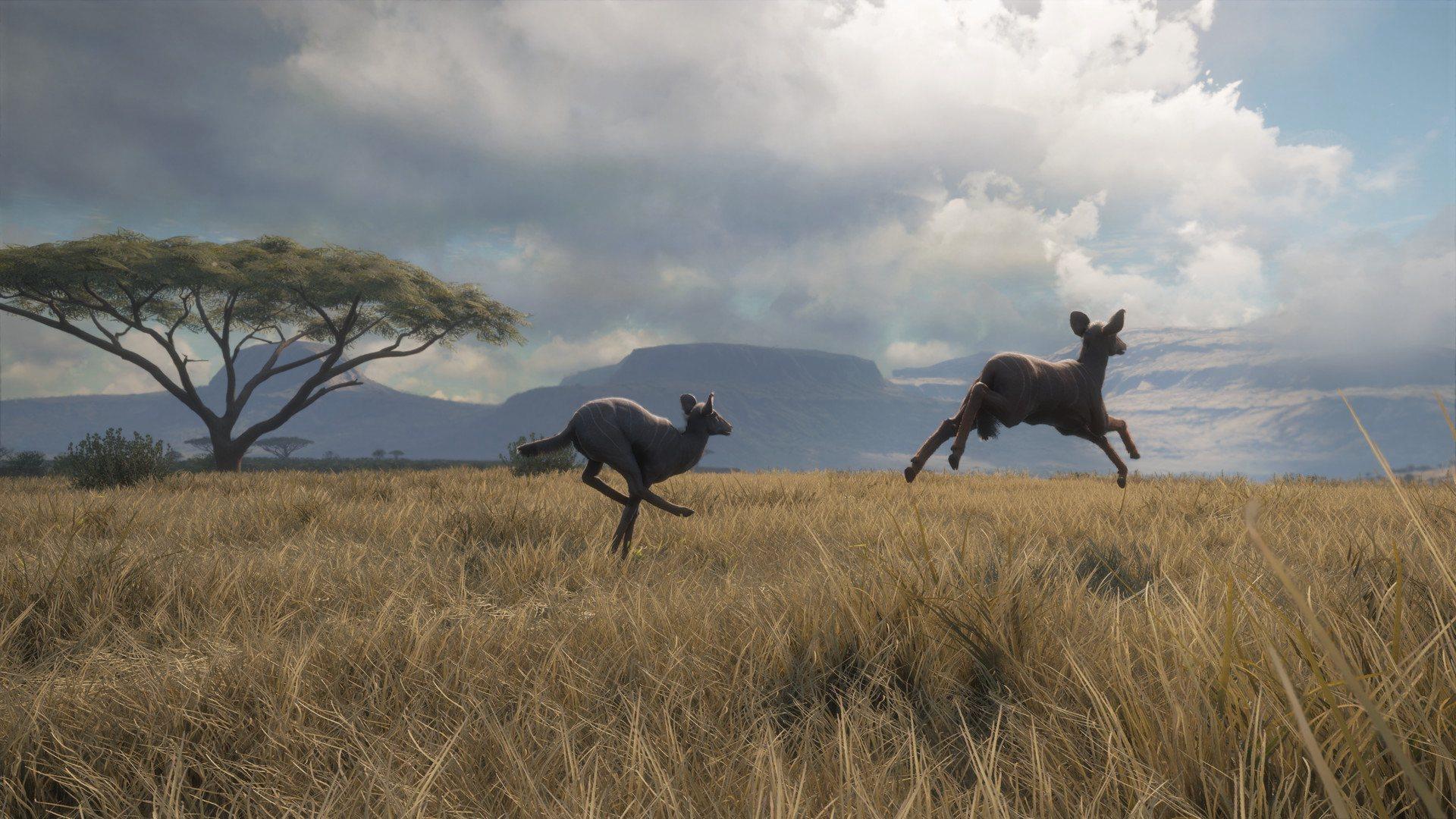 Screen Shot image 7 TheHunter: Call Of The Wild - Vurhonga Savanna DLC ستيم كود رقمي