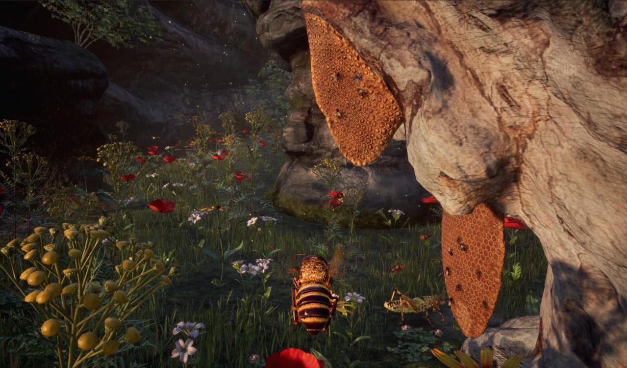 Screen Shot image 0 Bee Simulator ارجنتيني اكسبوكس 1 / إكس بوكس سيريس X|S كود رقمي