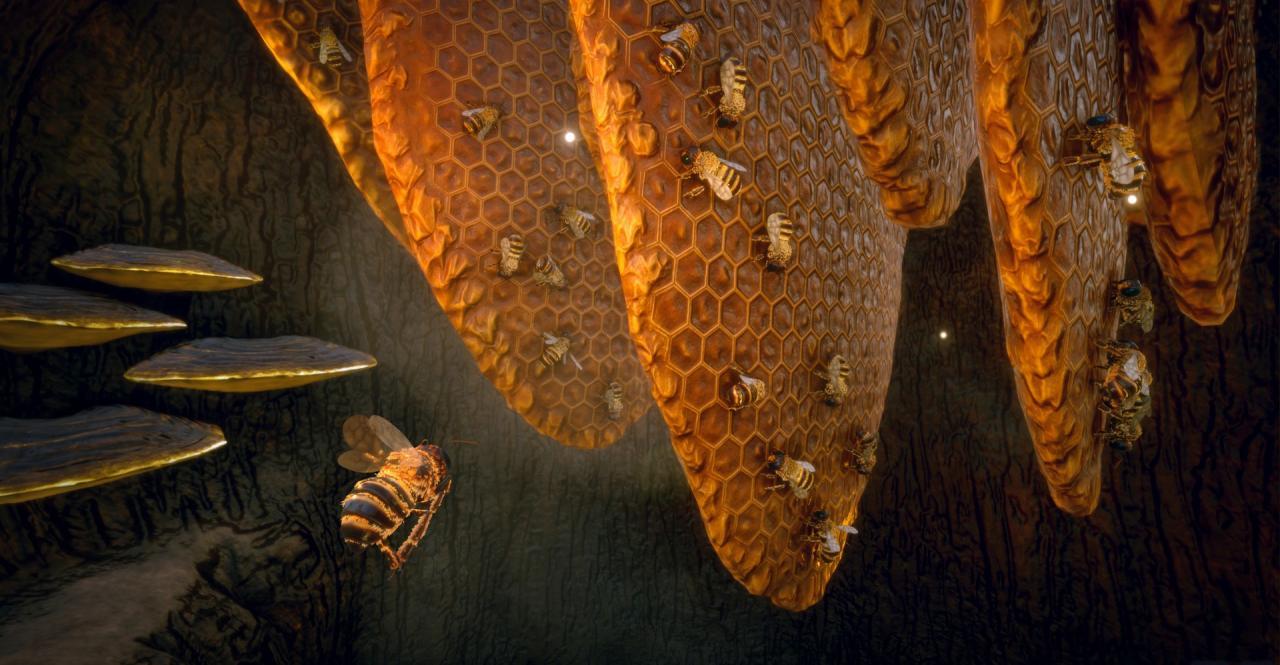 Screen Shot image 4 Bee Simulator بلايستيشن 4 حساب
