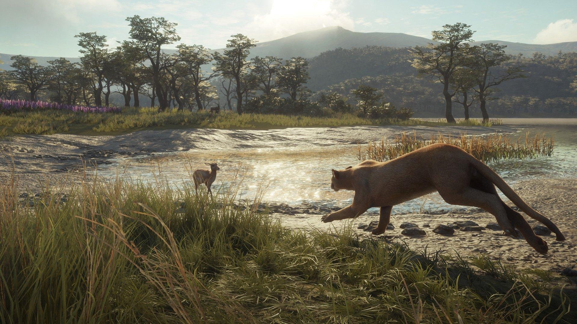 Screen Shot image 0 TheHunter: Call Of The Wild - Parque Fernando DLC بي سي ستيم كود رقمي