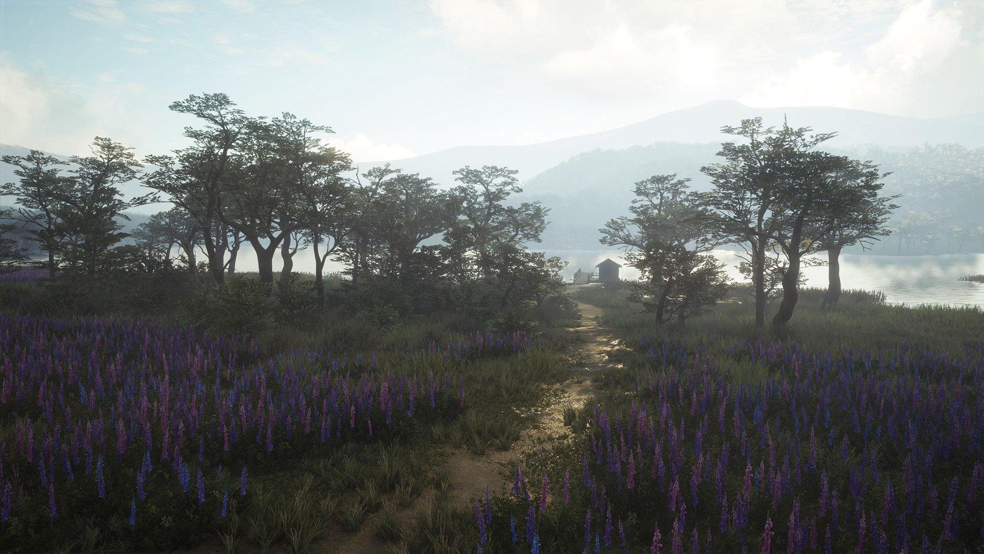 Screen Shot image 4 TheHunter: Call Of The Wild - Parque Fernando DLC بي سي ستيم كود رقمي