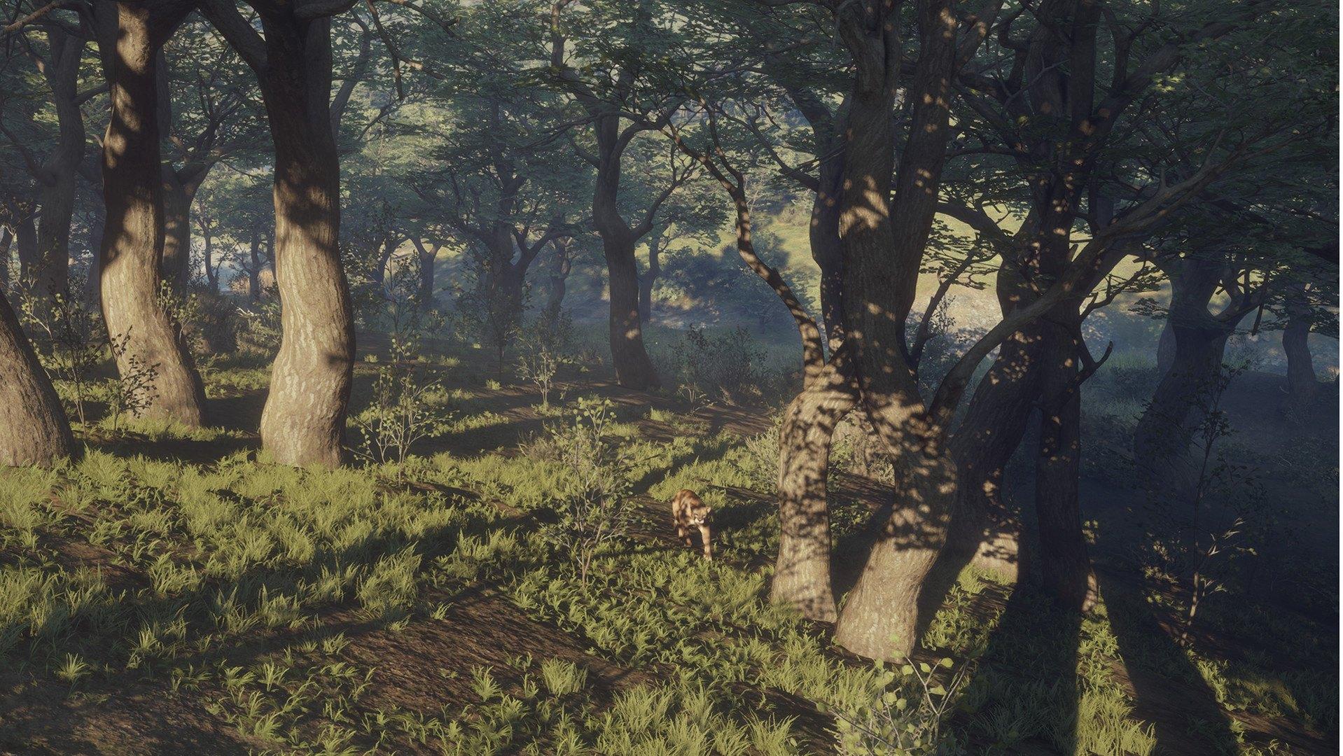 Screen Shot image 5 TheHunter: Call Of The Wild - Parque Fernando DLC بي سي ستيم كود رقمي