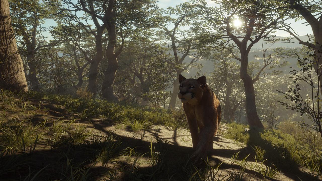 Screen Shot image 6 TheHunter: Call Of The Wild - Parque Fernando DLC بي سي ستيم كود رقمي