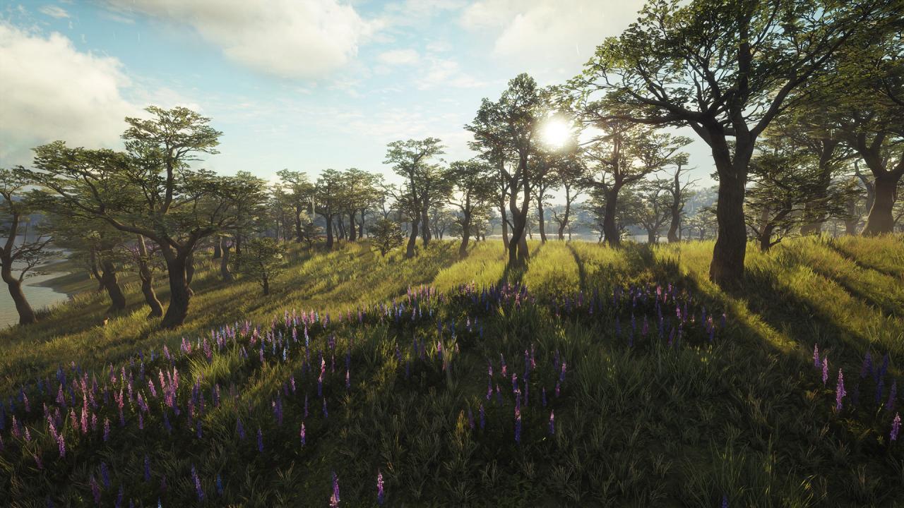 Screen Shot image 7 TheHunter: Call Of The Wild - Parque Fernando DLC بي سي ستيم كود رقمي