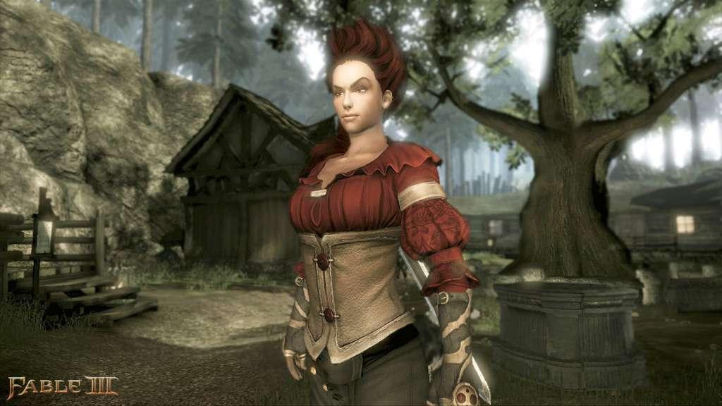 Screen Shot image 4 Fable III بي سي ستيم هدية