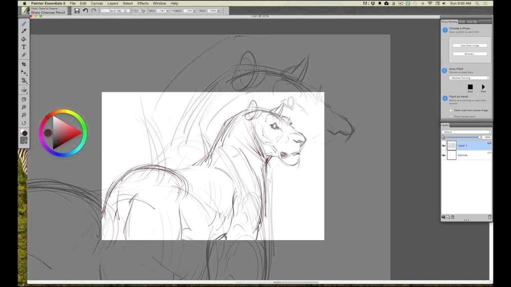 Screen Shot image 1 Corel Painter Essentials 5 Digital Download كود رقمي