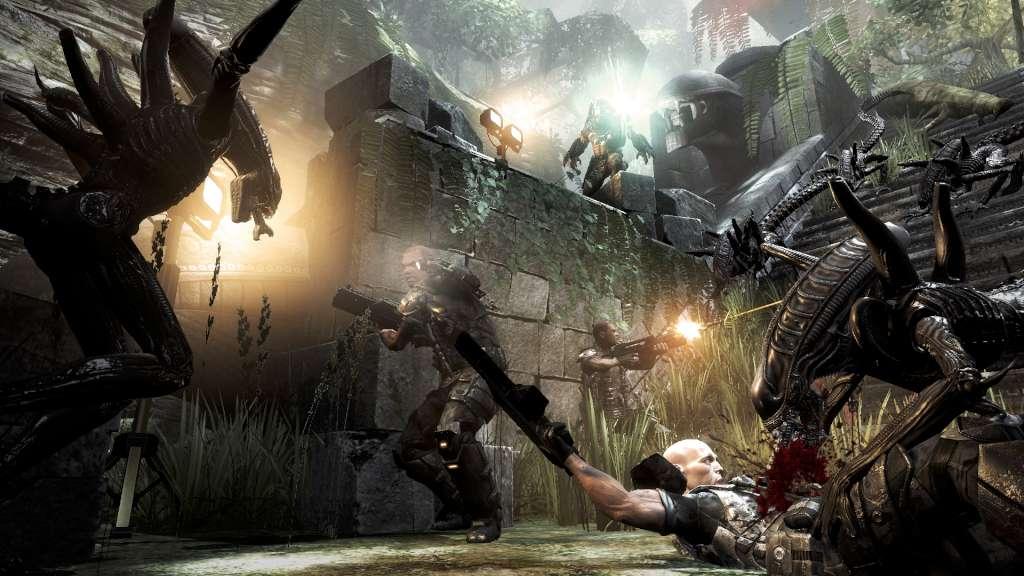 Screen Shot image 0 Aliens Vs. Predator ستيم هدية