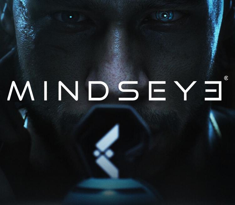 MindsEye PC Steam Account