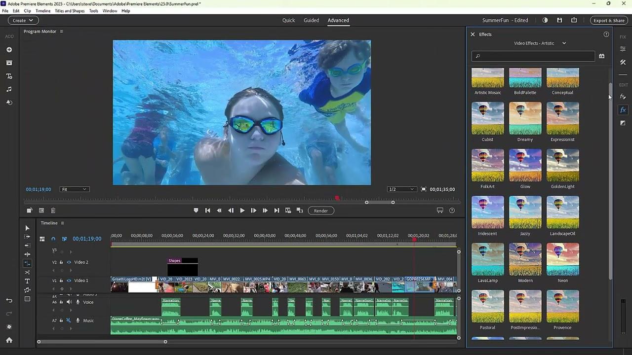 Screen Shot image 0 Adobe Premiere Elements 2025 (3 سنوات / 1 بي سي/ماك)