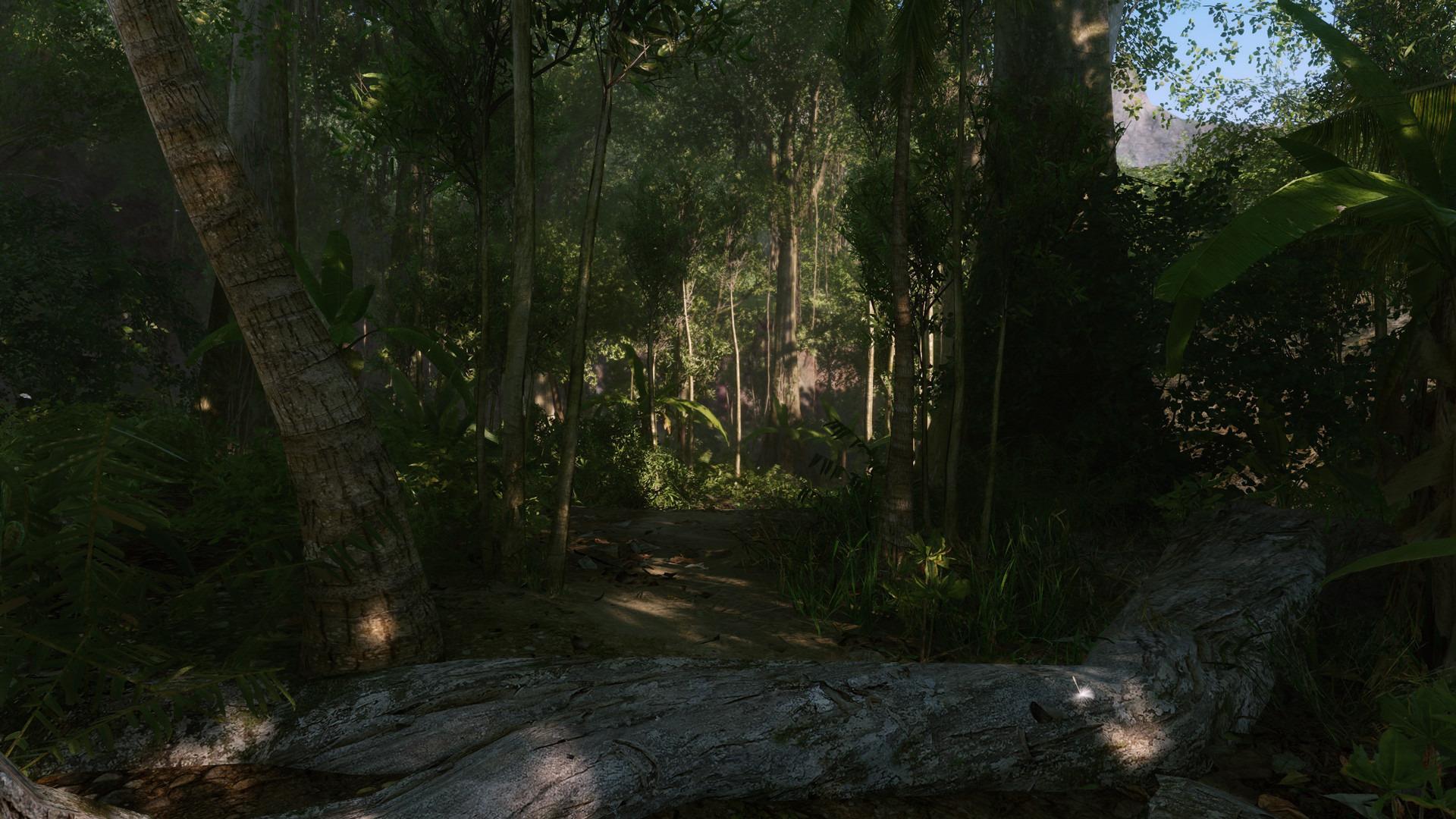 Screen Shot image 4 Crysis ريماستر اوروبي اكسبوكس 1 كود رقمي