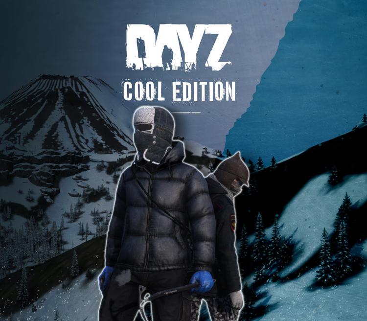 DayZ Cool اصدار بي سي ستيم حساب