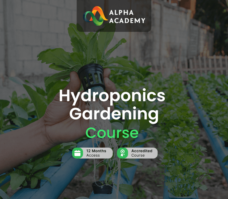 Hydroponics Gardening Online Course Alpha Academy كود