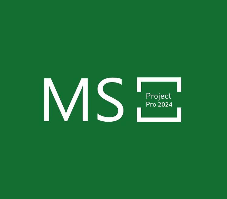 MS Project Professional 2024 CD Key