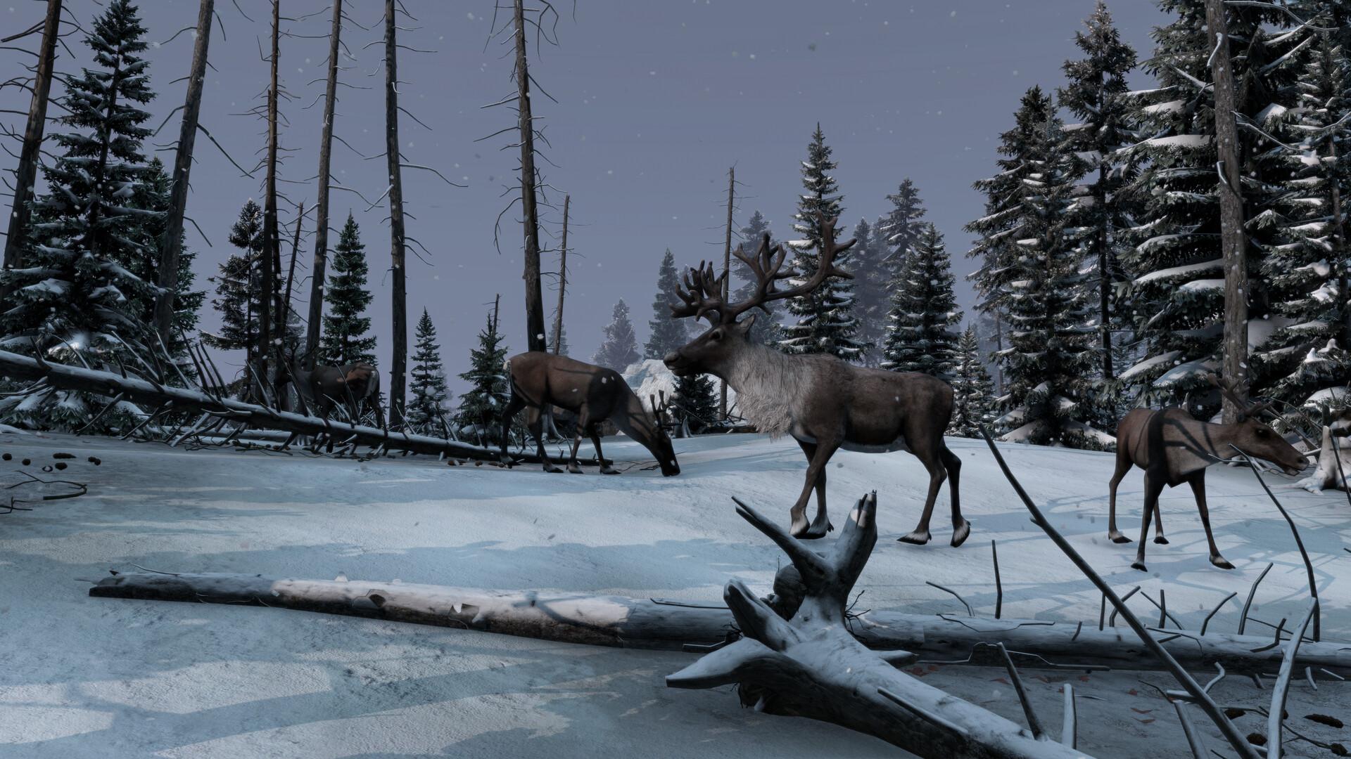 Screen Shot image 2 DayZ + Frostline DLC حزمة اكسبوكس 1 / إكس بوكس سيريس X|S حساب
