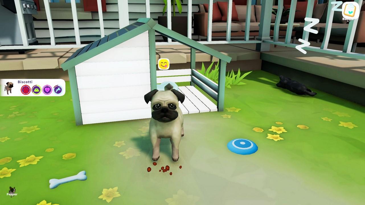 Screen Shot image 1 Cute Puppy Academy: Extended اصدار CO اكسبوكس 1 / إكس بوكس سيريس X|S كود رقمي