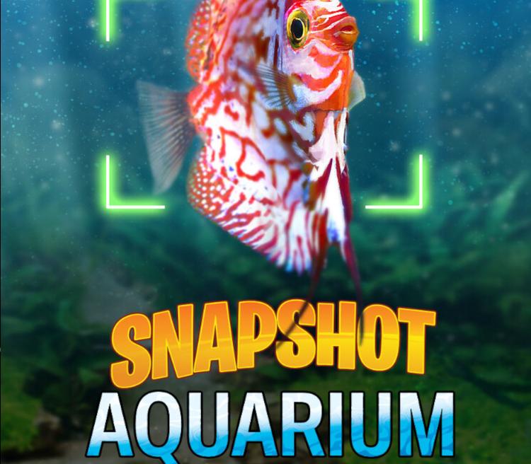 Snapshot Aquarium PC Steam CD Key