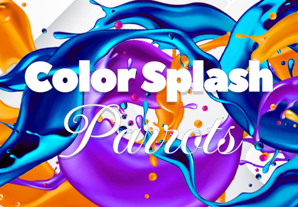 Color Splash: Parrots بي سي ستيم كود رقمي