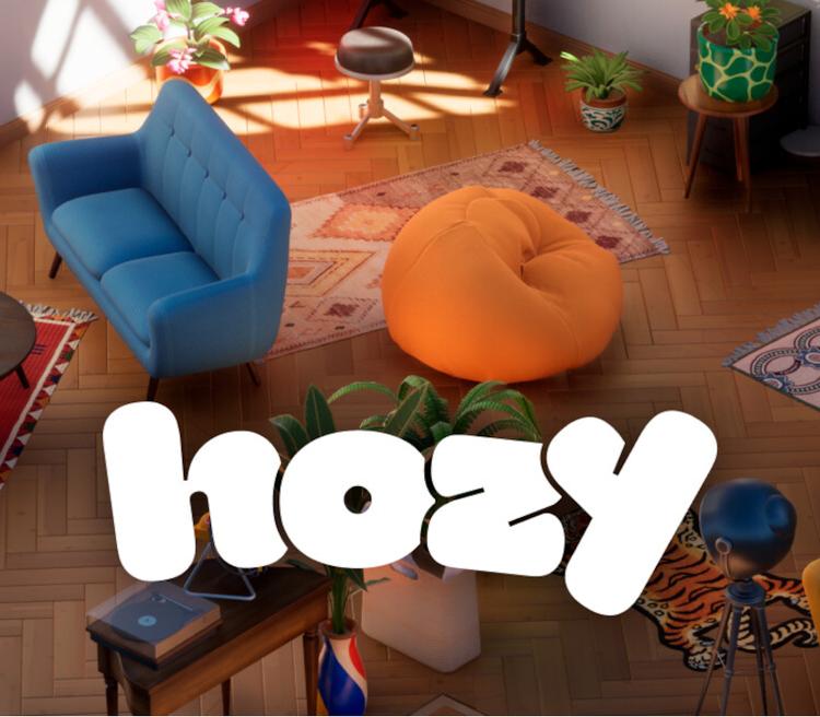 Hozy PC Steam Account