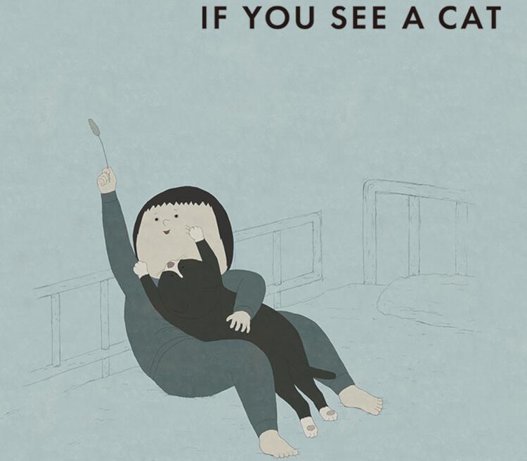 IF YOU SEE A CAT بي سي ستيم كود رقمي