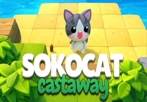 Sokocat: Castaway بي سي ايبك قيمز حساب
