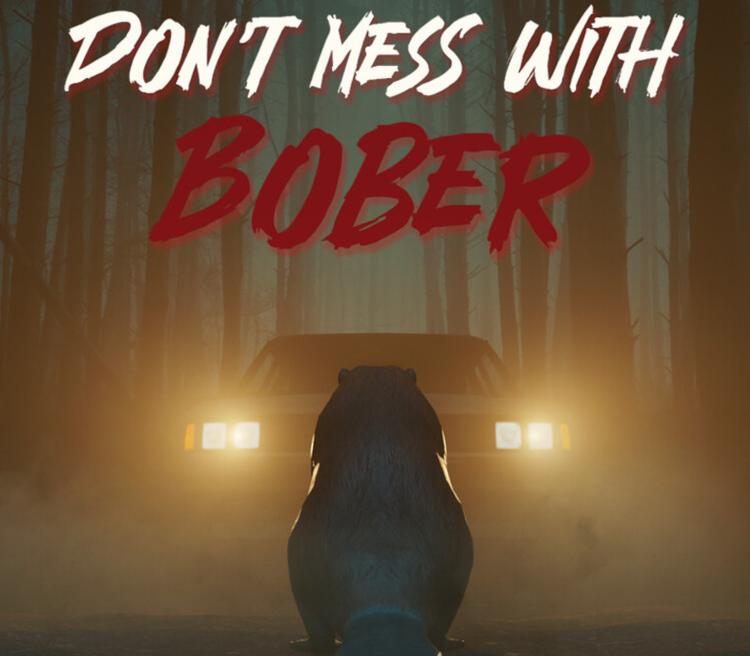Don't Mess With Bober PS5 Account