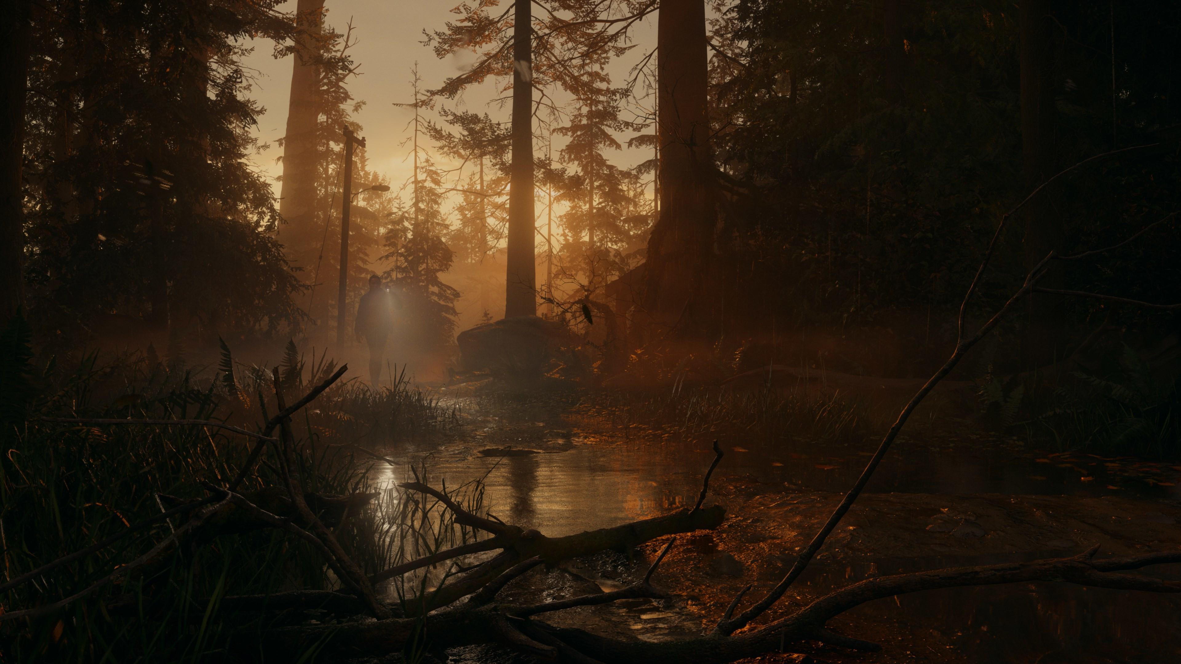 Screen Shot image 6 Alan Wake 2 اصدار الديلوكس امريكي إكس بوكس سيريس X|S كود رقمي