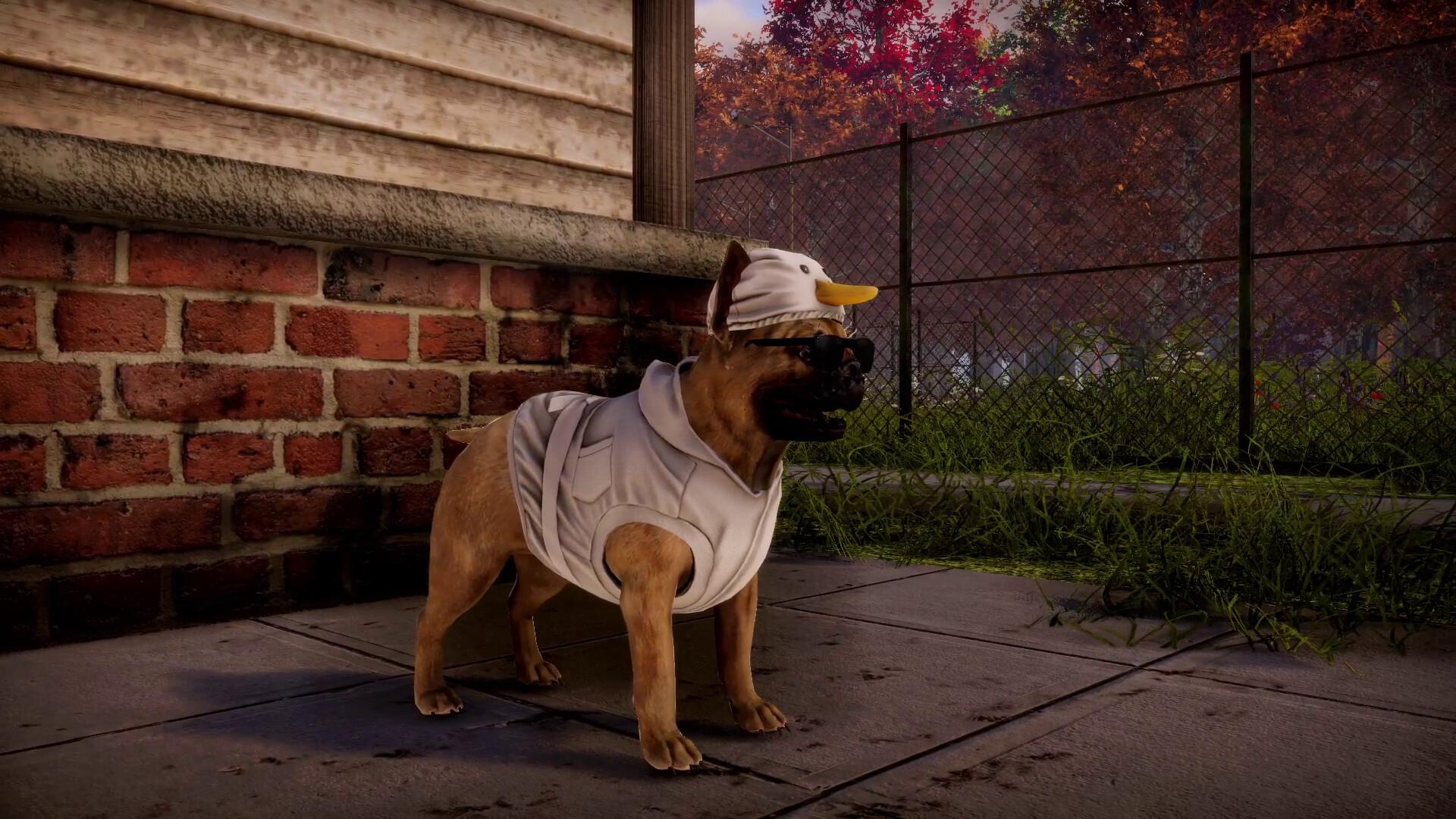 Screen Shot image 0 Animal Shelter 2 بي سي ستيم كود رقمي