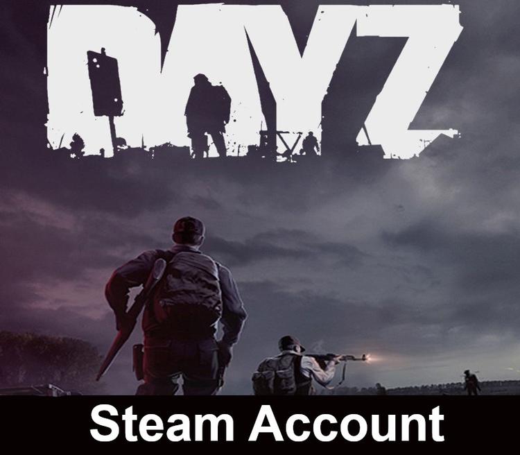 DayZ بي سي ستيم حساب