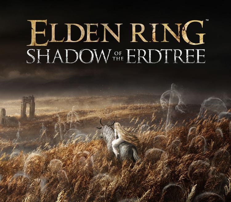 ELDEN RING - Shadow of the Erdtree DLC PS4 Account