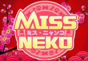 Miss Neko ستيم كود رقمي