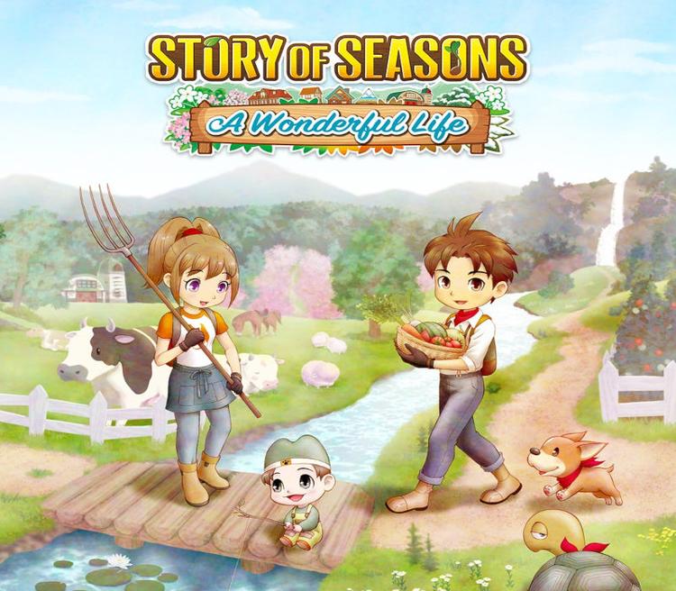 Story of Seasons: A Wonderful Life EU PC Steam CD Key