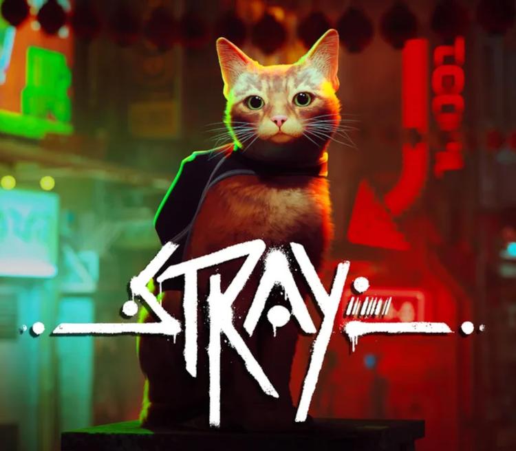Stray Xbox Series X|S Account