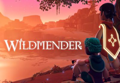 Wildmender اوروبي بي سي ستيم كود رقمي