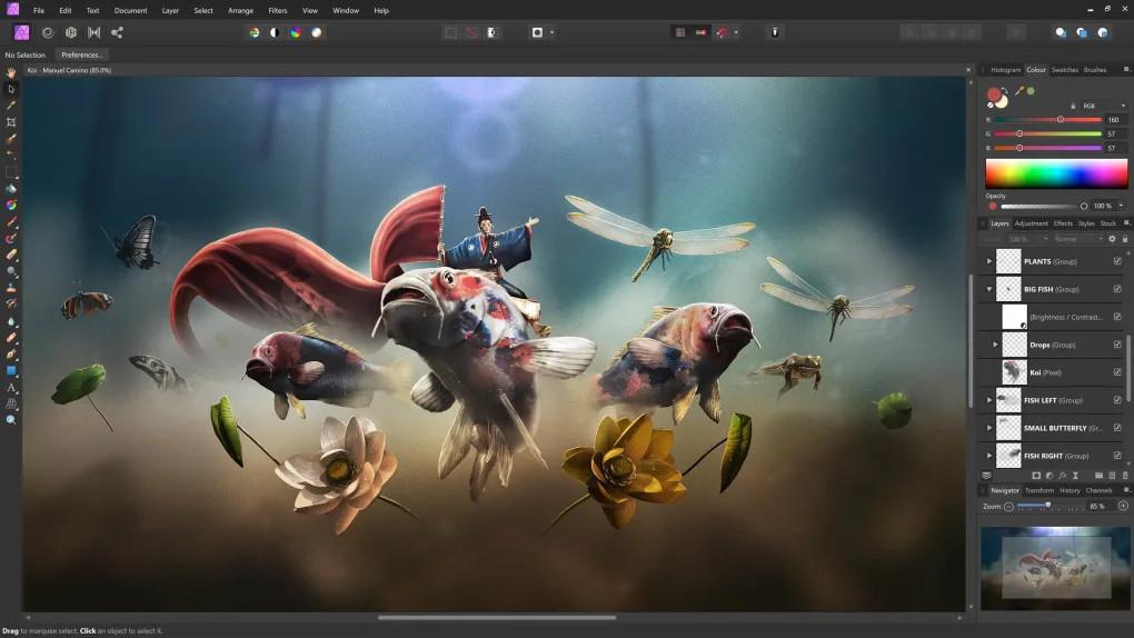 Screen Shot image 4 Affinity Photo 1.10.6 كود رقمي (مدى الحياة / 1 جهاز)