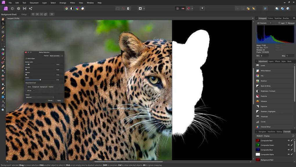 Screen Shot image 5 Affinity Photo 1.10.6 كود رقمي (مدى الحياة / 1 جهاز)