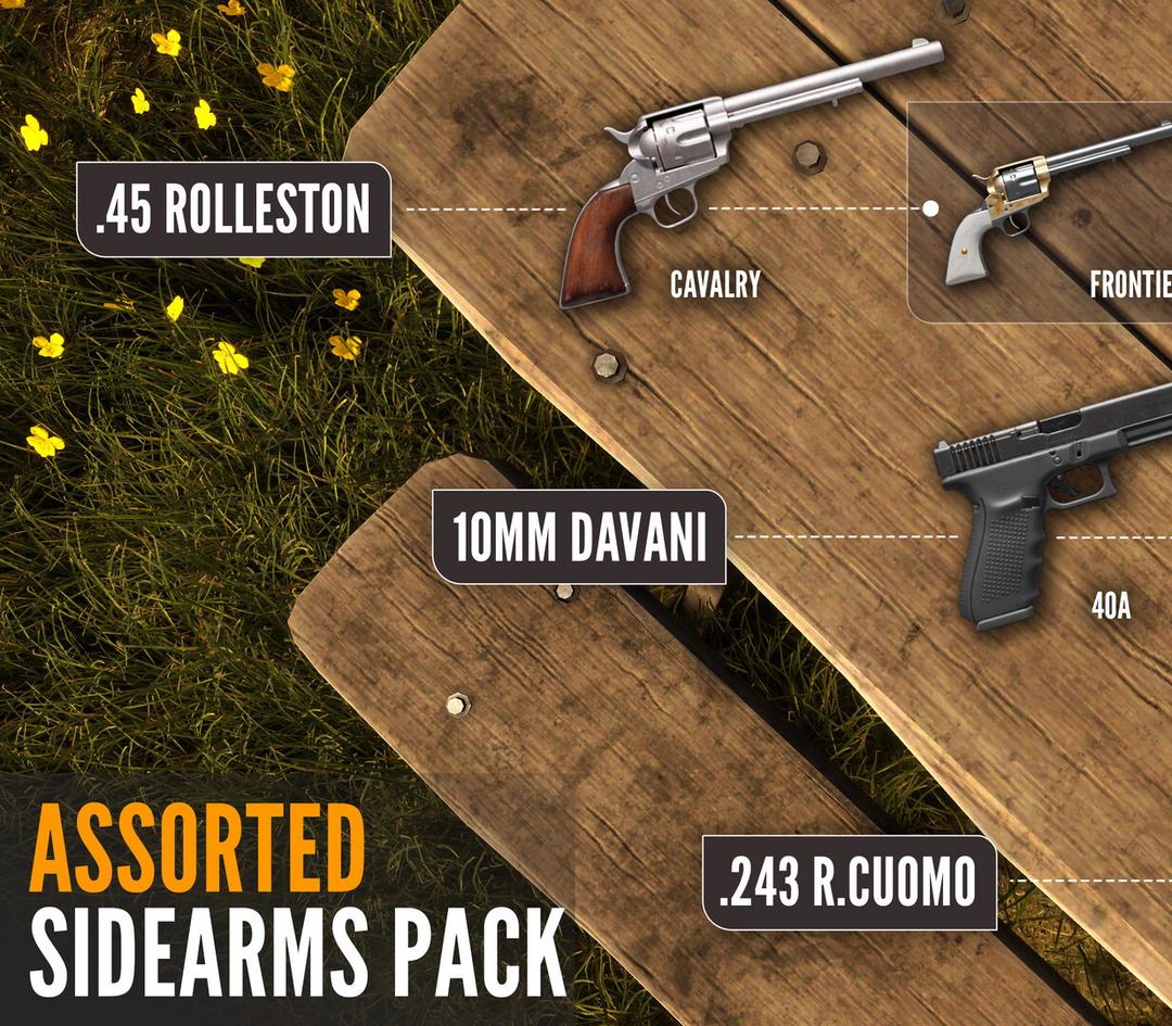 TheHunter: Call Of The Wild - Assorted Sidearms Pack DLC بي سي ستيم كود رقمي (Valid Until March, 2027)