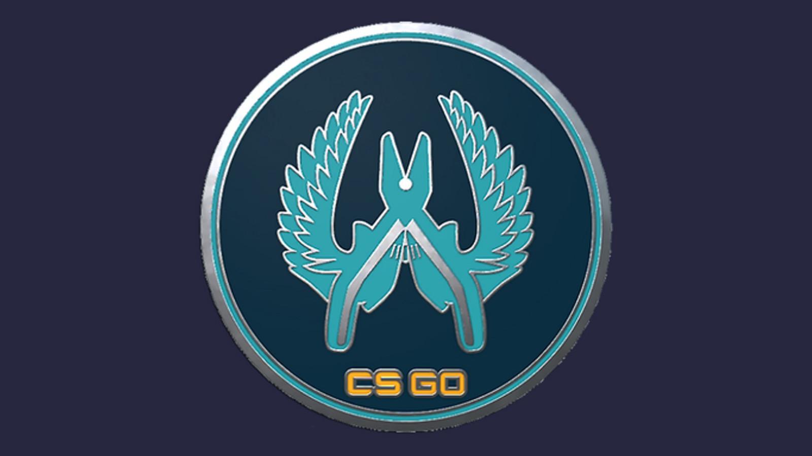 Screen Shot image 0 CS:GO - سيريس 1 - Guardian Collectible Pin