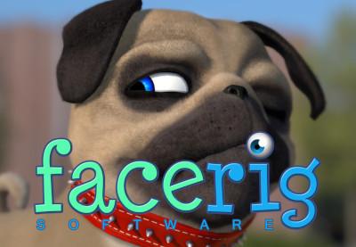 FaceRig - Julien The Pug Avatar DLC ستيم كود رقمي