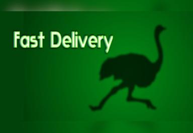Fast Delivery ستيم كود رقمي