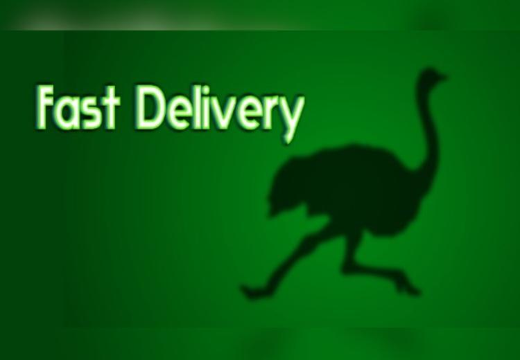 Fast Delivery ستيم كود رقمي
