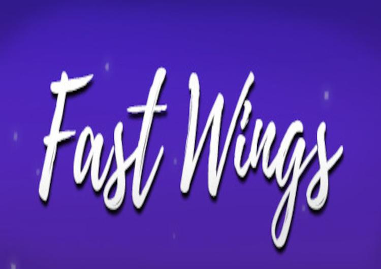 Fast Wings ستيم كود رقمي