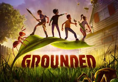 Grounded بلايستيشن 4/بلايستيشن 5 حساب
